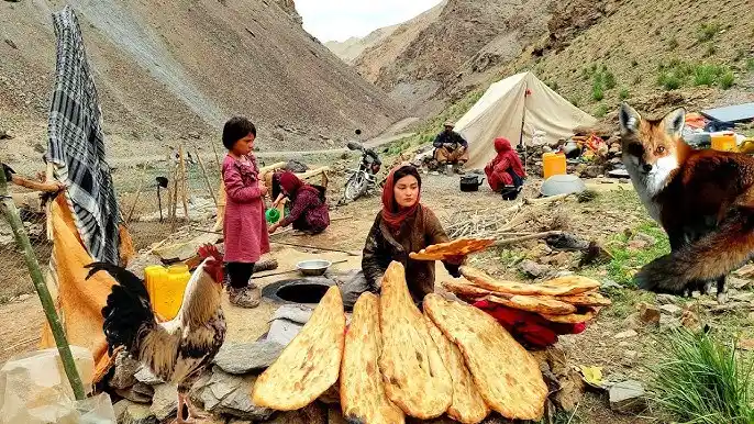 Kochi nomads migrating with livestock across Afghan landscapes